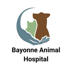 bayonne-animal-hospital