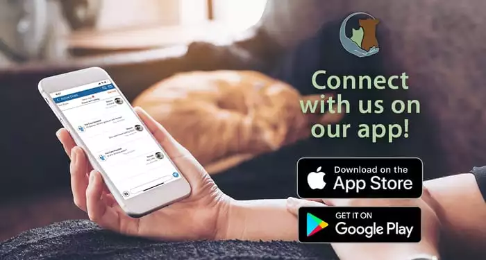 Download our app