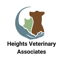 Heights Veterinary Associates